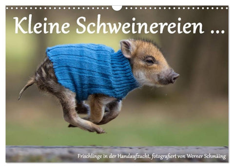 Kleine Schweinereien (Wandkalender 2027 DIN A3 quer), CALVENDO Monatskalender