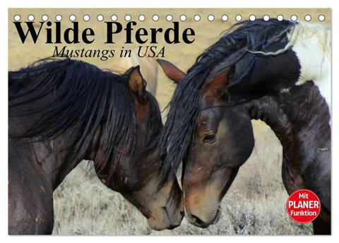 Wilde Pferde. Mustangs in USA (Tischkalender 2027 DIN A5 quer), CALVENDO Monatskalender