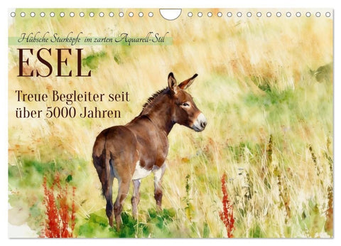 Esel - Treue Begleiter seit über 5000 Jahren (Wandkalender 2027 DIN A4 quer), CALVENDO Monatskalender
