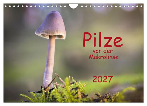 Pilze vor der Makrolinse 2027 (Wandkalender 2027 DIN A4 quer), CALVENDO Monatskalender