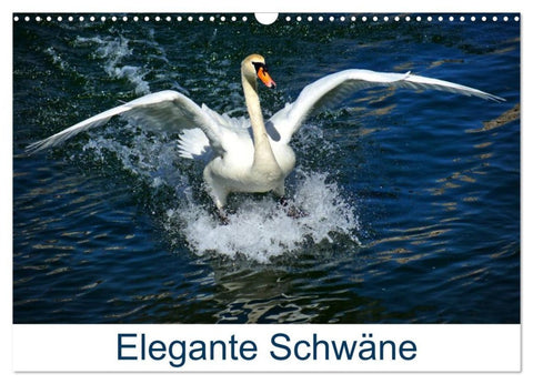 Elegante Schwäne (Wandkalender 2027 DIN A3 quer), CALVENDO Monatskalender