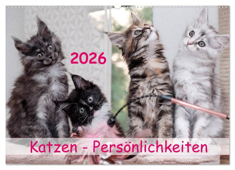 Katzen Persönlichkeiten 2026 (Wandkalender 2026 DIN A2 quer), CALVENDO Monatskalender