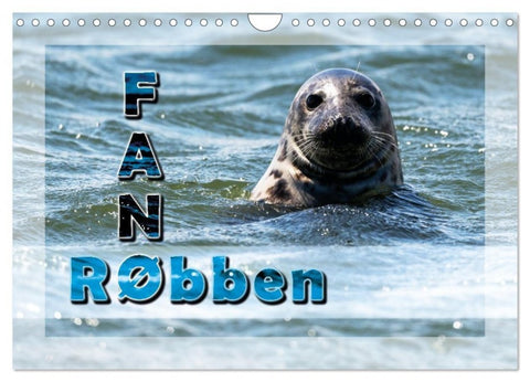 Fanø - Robben (Wandkalender 2027 DIN A4 quer), CALVENDO Monatskalender