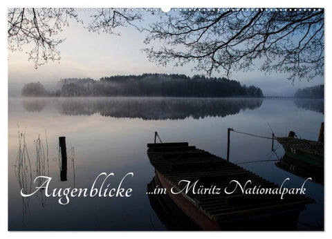 Augenblicke im Müritz Nationalpark (Wandkalender 2026 DIN A2 quer), CALVENDO Monatskalender