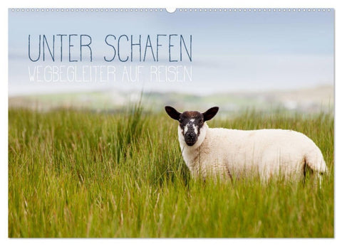 Unter Schafen - Wegbegleiter auf Reisen (Wandkalender 2027 DIN A2 quer), CALVENDO Monatskalender