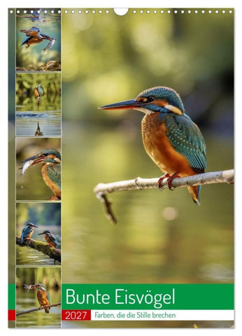 Bunte Eisvögel (Wandkalender 2027 DIN A3 hoch), CALVENDO Monatskalender