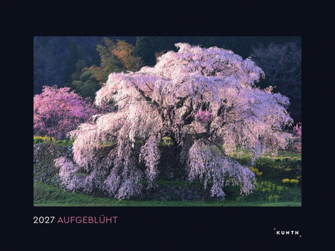Aufgeblüht - KUNTH Wandkalender 2027