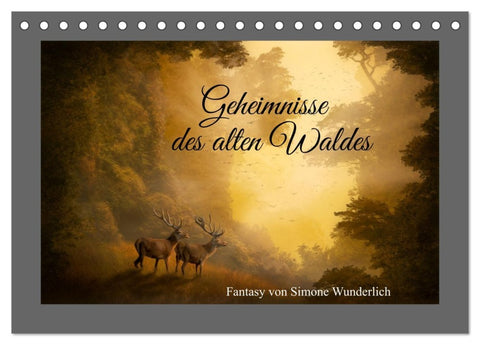 Geheimnisse des alten Waldes (Tischkalender 2026 DIN A5 quer), CALVENDO Monatskalender
