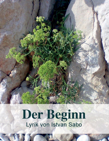 Der Beginn