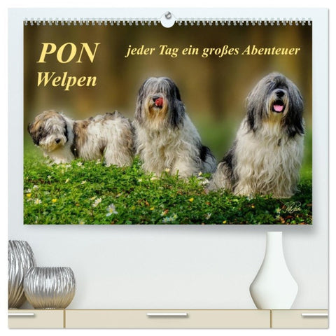 PON - Welpen, jeder Tag ein großes Abenteuer (hochwertiger Premium Wandkalender 2026 DIN A2 quer), Kunstdruck in Hochglanz