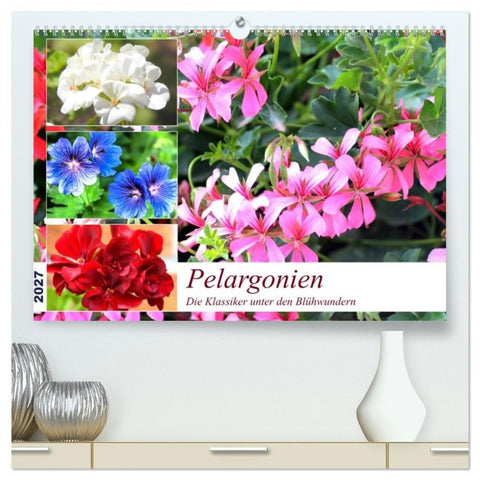 Pelargonien. Die Klassiker unter den Blühwundern (hochwertiger Premium Wandkalender 2027 DIN A2 quer), Kunstdruck in Hochglanz