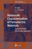 Nanoscale Characterisation of Ferroelectric Materials