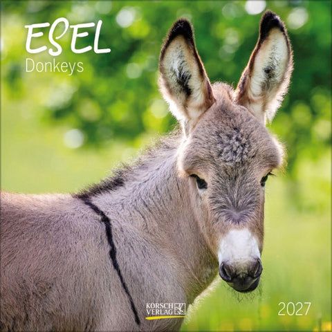 Esel 2027
