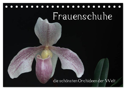 Frauenschuhe - die schönsten Orchideen der Welt (Tischkalender 2027 DIN A5 quer), CALVENDO Monatskalender