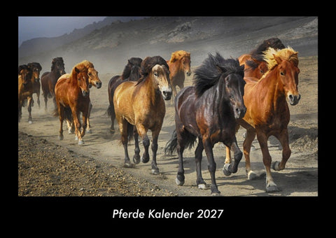 Pferde Kalender 2027 Fotokalender DIN A3