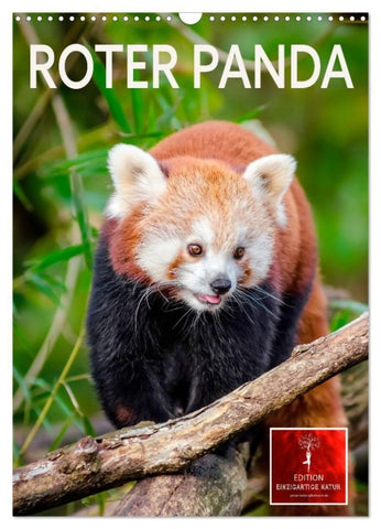 Roter Panda (Wandkalender 2027 DIN A3 hoch), CALVENDO Monatskalender