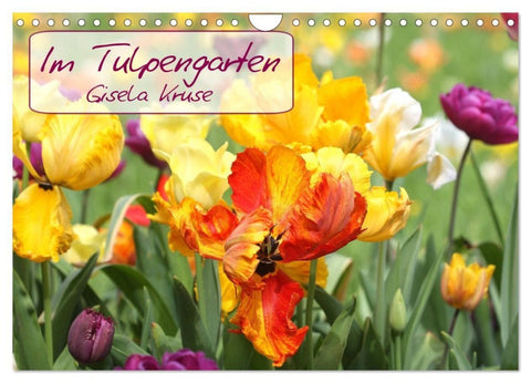 Im Tulpengarten (Wandkalender 2027 DIN A4 quer), CALVENDO Monatskalender