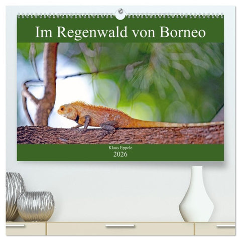 Im Regenwald von Borneo (hochwertiger Premium Wandkalender 2026 DIN A2 quer), Kunstdruck in Hochglanz