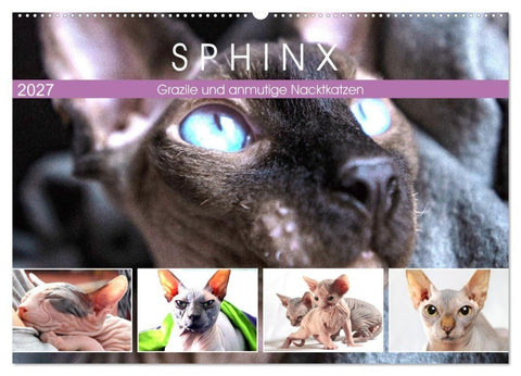 Sphinx. Grazile und anmutige Nacktkatzen (Wandkalender 2027 DIN A2 quer), CALVENDO Monatskalender