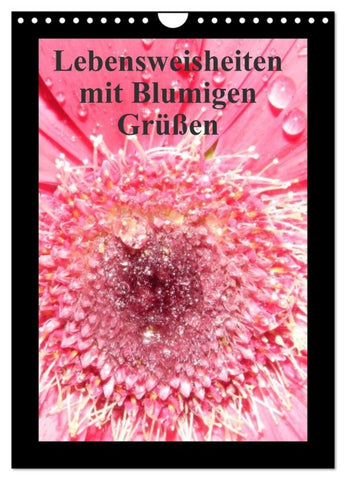 Lebensweisheiten mit Blumigen Grüßen (Wandkalender 2026 DIN A4 hoch), CALVENDO Monatskalender