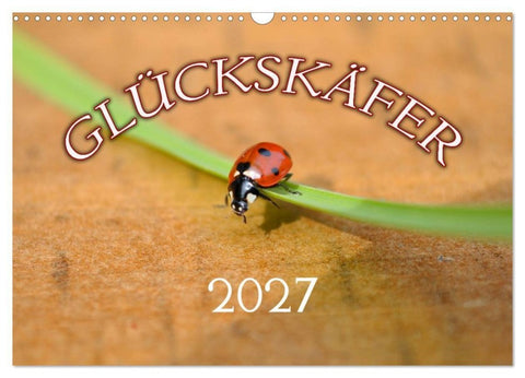 Marienkäfer 2027 (Wandkalender 2027 DIN A3 quer), CALVENDO Monatskalender