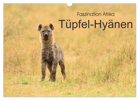 Faszination Afrika: Tüpfel-Hyänen (Wandkalender 2027 DIN A3 quer), CALVENDO Monatskalender