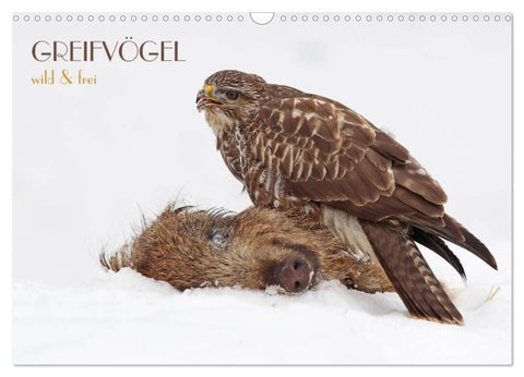 GREIFVÖGEL wild & frei (Wandkalender 2027 DIN A3 quer), CALVENDO Monatskalender