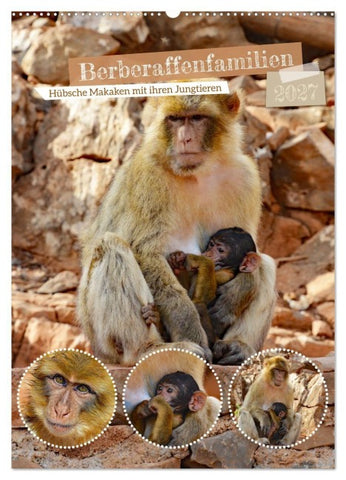 Berberaffenfamilien (Wandkalender 2027 DIN A2 hoch), CALVENDO Monatskalender