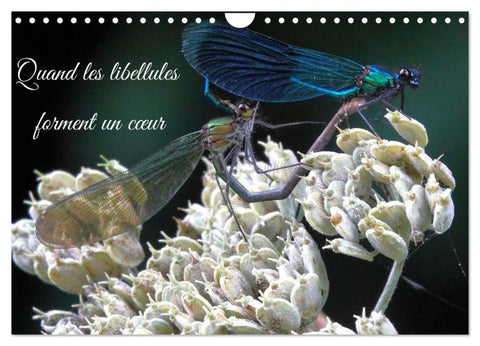 Quand les libellules forment un c¿ur (Calendrier mural 2026 DIN A4 vertical), CALVENDO calendrier mensuel