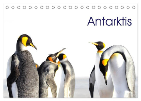 Antarktis - Viaje (Tischkalender 2027 DIN A5 quer), CALVENDO Monatskalender