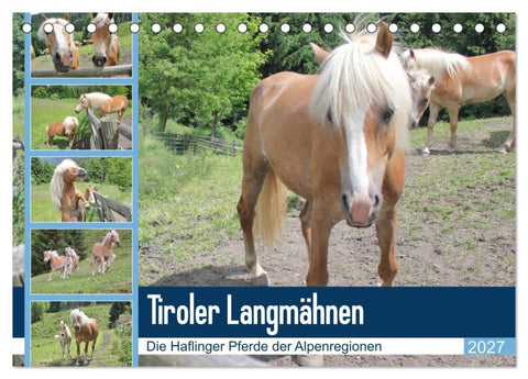 Tiroler Langmähnen (Tischkalender 2027 DIN A5 quer), CALVENDO Monatskalender