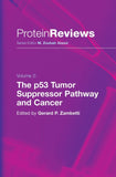 The p53 Tumor Suppressor Pathway and Cancer