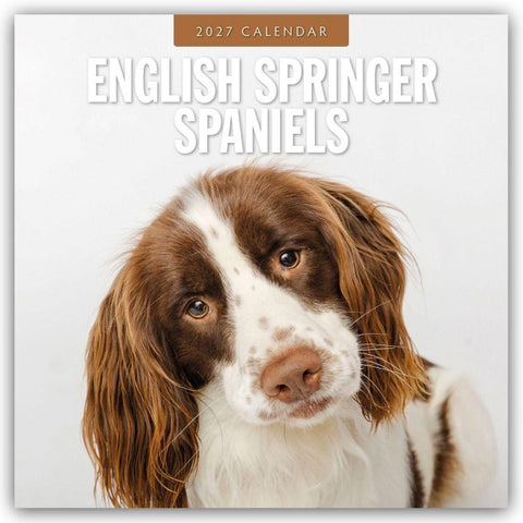 English Springer Spaniels – Englisch Springer Spaniels 2027 – 16-Monatskalender