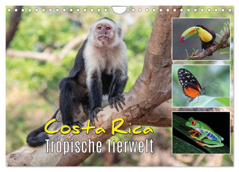 Costa Rica - Tropische Tierwelt (Wandkalender 2027 DIN A4 quer), CALVENDO Monatskalender