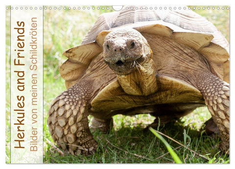Herkules and Friends (Wandkalender 2026 DIN A3 quer), CALVENDO Monatskalender
