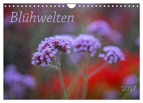 Blühwelten (Wandkalender 2027 DIN A4 quer), CALVENDO Monatskalender