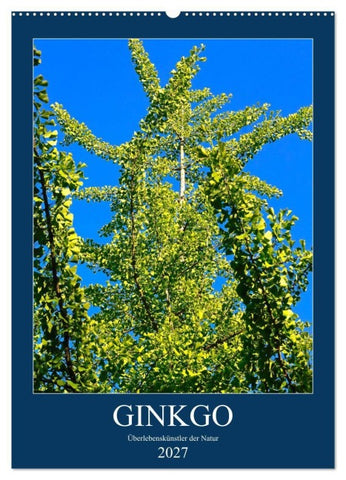 Ginkgo (Wandkalender 2027 DIN A2 hoch), CALVENDO Monatskalender