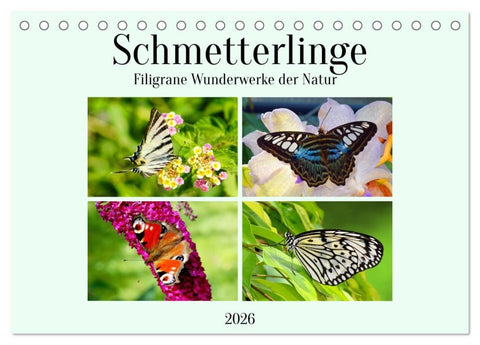 Schmetterlinge - Filigrane Wunderwerke der Natur (Tischkalender 2026 DIN A5 quer), CALVENDO Monatskalender