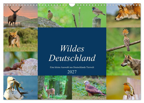Wildes Deutschland (Wandkalender 2027 DIN A3 quer), CALVENDO Monatskalender