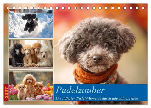 Pudelzauber (Tischkalender 2027 DIN A5 quer), CALVENDO Monatskalender