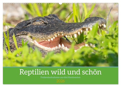 Reptilien wild und schön (Wandkalender 2026 DIN A2 quer), CALVENDO Monatskalender