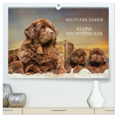Neufundländer - Kleine Weltentdecker (hochwertiger Premium Wandkalender 2027 DIN A2 quer), Kunstdruck in Hochglanz