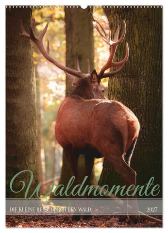 Waldmomente (Wandkalender 2027 DIN A2 hoch), CALVENDO Monatskalender