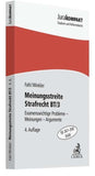 Meinungsstreite Strafrecht BT/