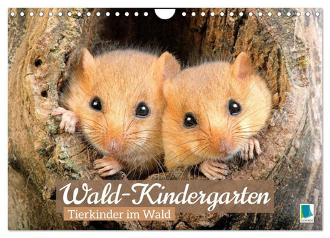 Wald-Kindergarten: Tierkinder im Wald (Wandkalender 2027 DIN A4 quer), CALVENDO Monatskalender