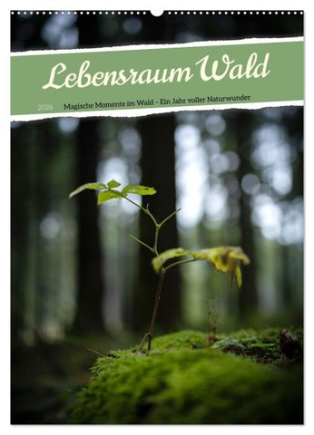 Lebensraum Wald (Wandkalender 2026 DIN A2 hoch), CALVENDO Monatskalender