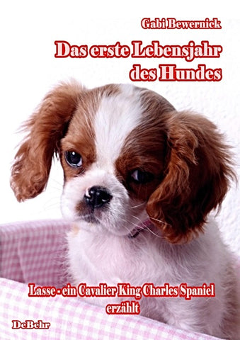 Das erste Lebensjahr des Hundes - Lasse - eine Cavalier King Charles Spaniel erzählt