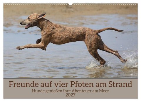 Freunde auf vier Pfoten am Strand (Wandkalender 2027 DIN A2 quer), CALVENDO Monatskalender