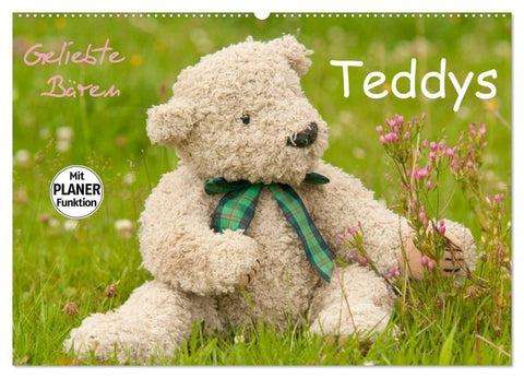 Geliebte Bären - Teddys (Wandkalender 2026 DIN A2 quer), CALVENDO Monatskalender