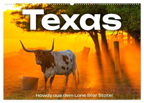 Texas - Howdy aus dem Lone Star State! (Wandkalender 2027 DIN A2 quer), CALVENDO Monatskalender
